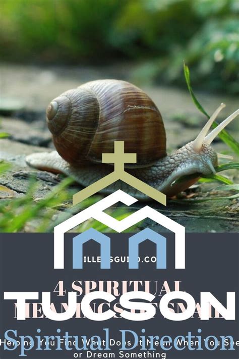 Unveiling the Spiritual Meaning of a Snail: Lessons in Patience .